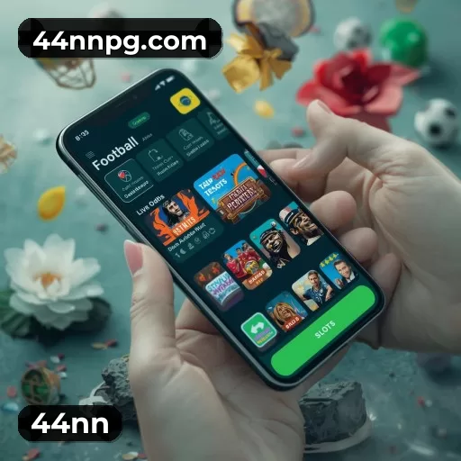 44nn tela de login